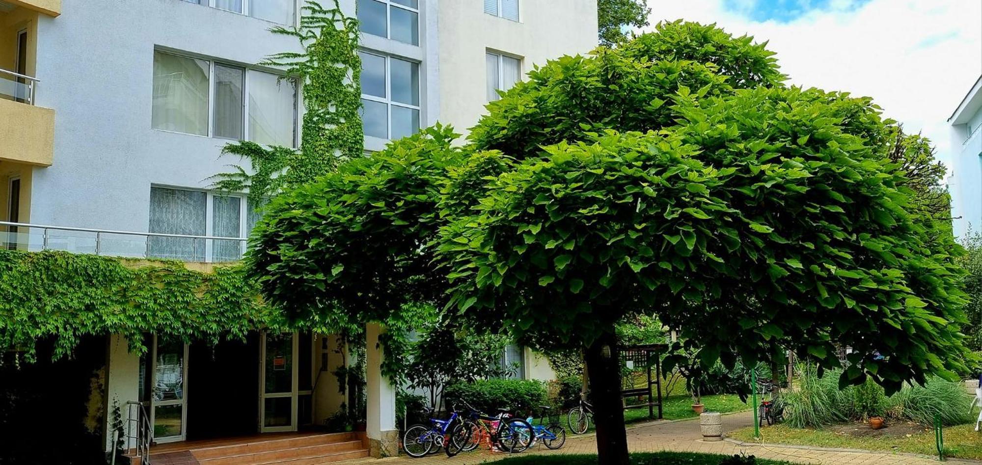 Niko Apartments Σάνι Μπιτς Εξωτερικό φωτογραφία