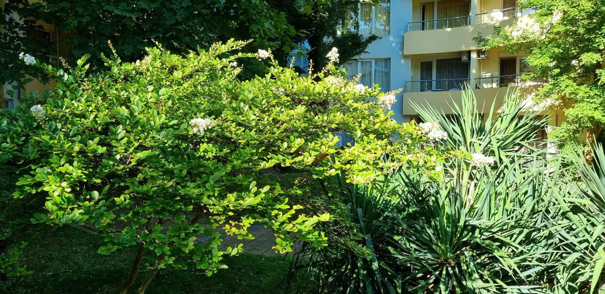 Niko Apartments Σάνι Μπιτς Εξωτερικό φωτογραφία