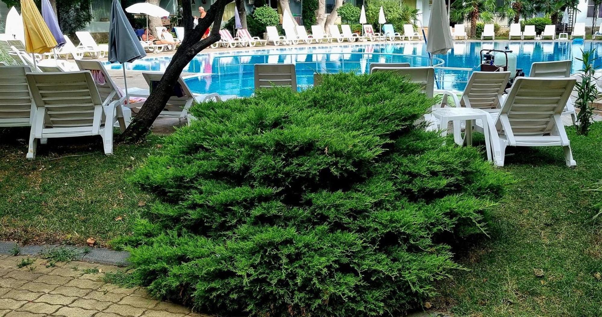 Niko Apartments Σάνι Μπιτς Εξωτερικό φωτογραφία